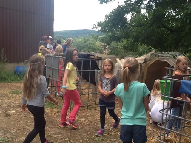 FB_IMG_1444376523203